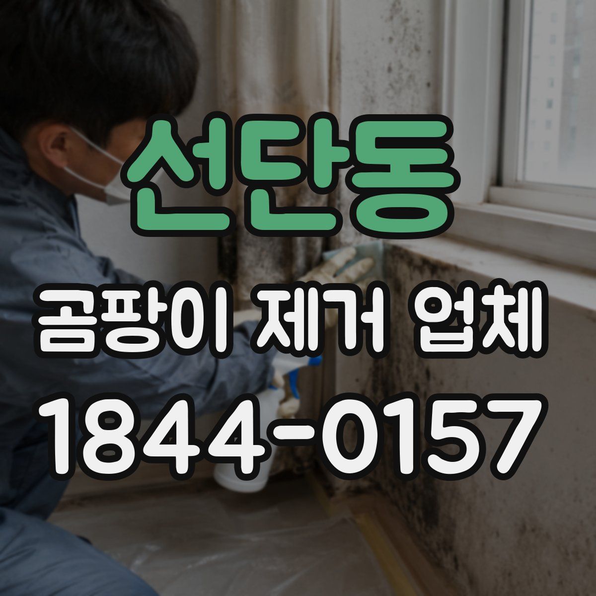 선단동 곰팡이 제거 업체