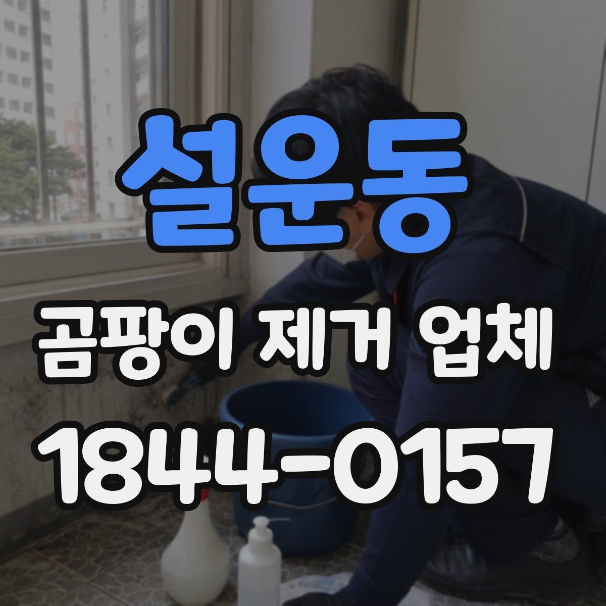 설운동 곰팡이 제거 업체 내부 결로와 외벽 하자를 함께 보는 방법