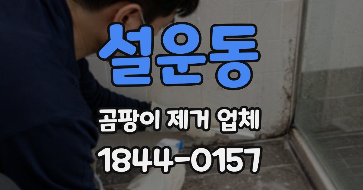 설운동 곰팡이 제거 업체