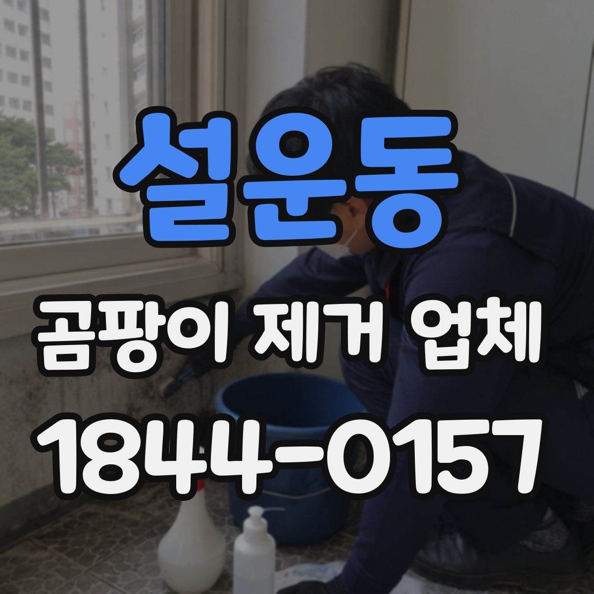 설운동 곰팡이 제거 업체