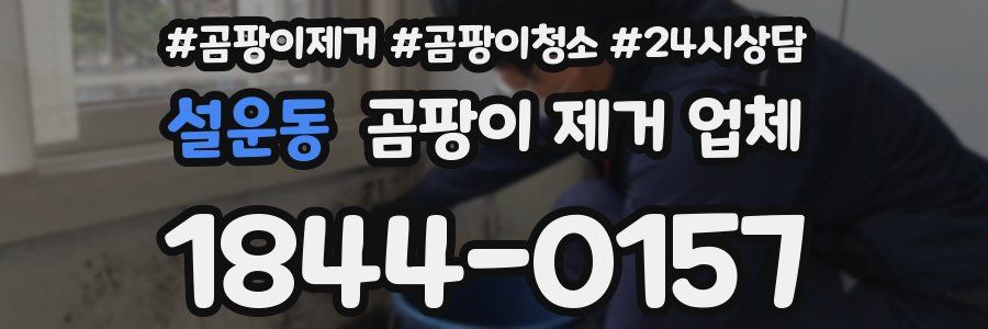 설운동 곰팡이 제거 업체