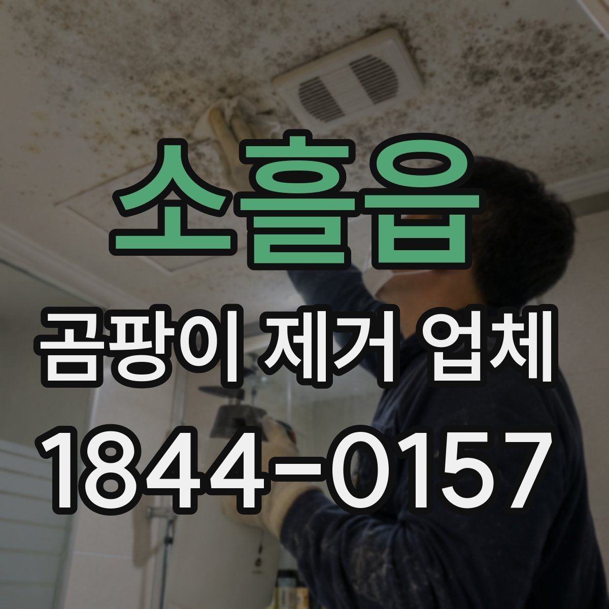 소흘읍 곰팡이 제거 업체 반복 오염을 줄이기 위한 원인 진단 방법