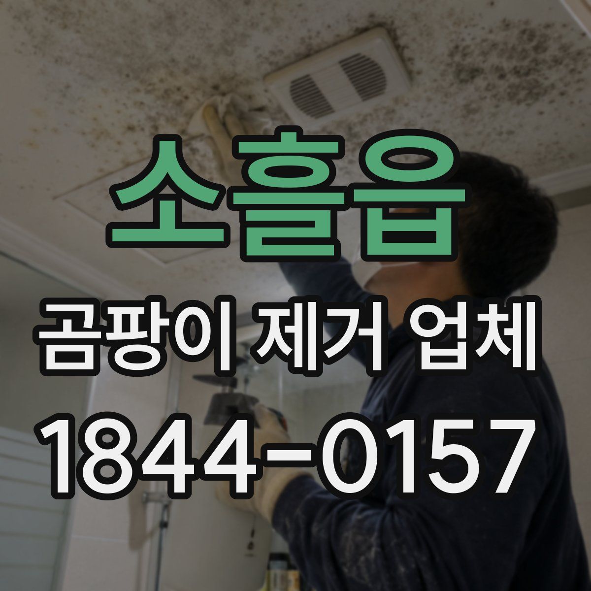 소흘읍 곰팡이 제거 업체