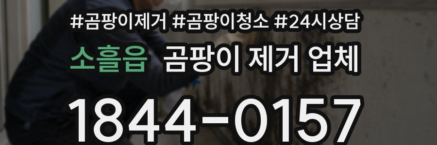 소흘읍 곰팡이 제거 업체