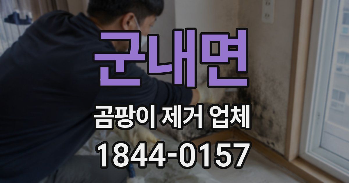 군내면 곰팡이 제거 업체