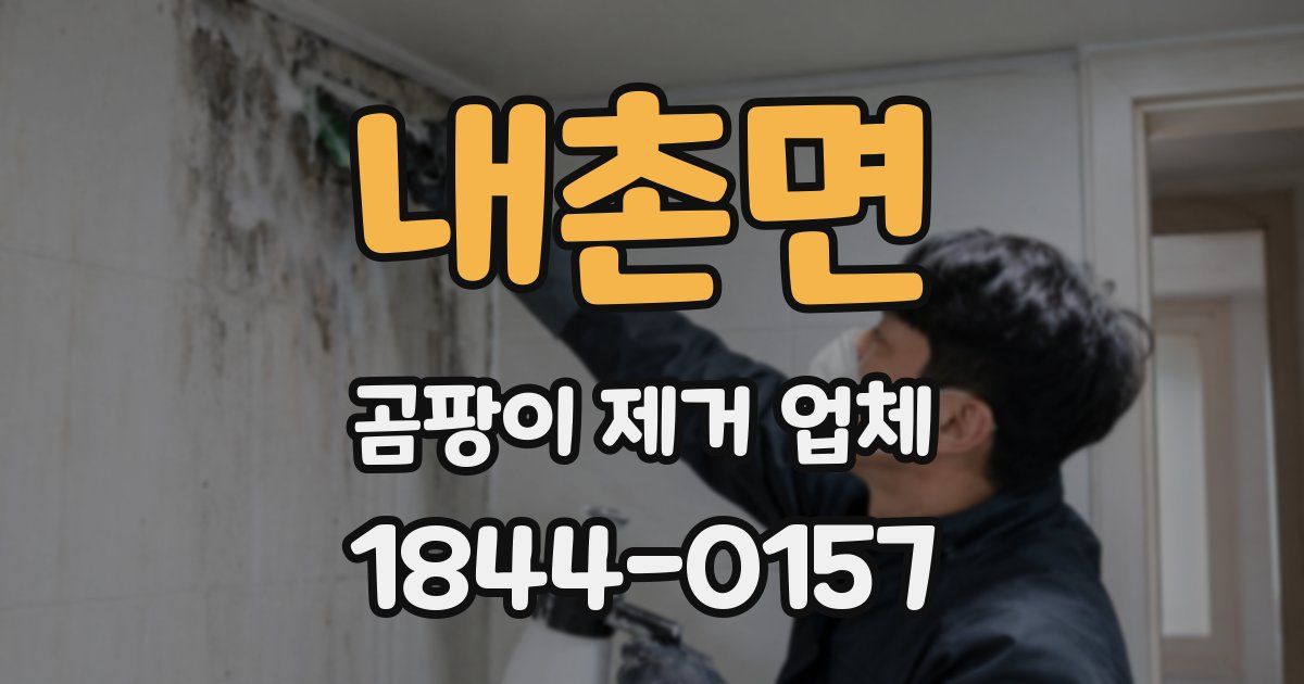 내촌면 곰팡이 제거 업체