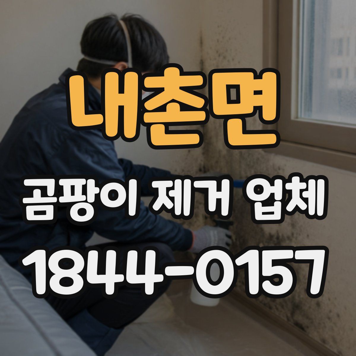 내촌면 곰팡이 제거 업체