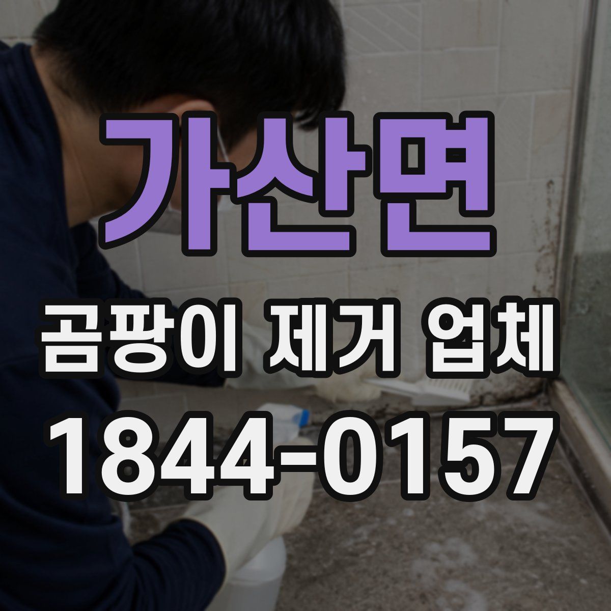 가산면 곰팡이 제거 업체