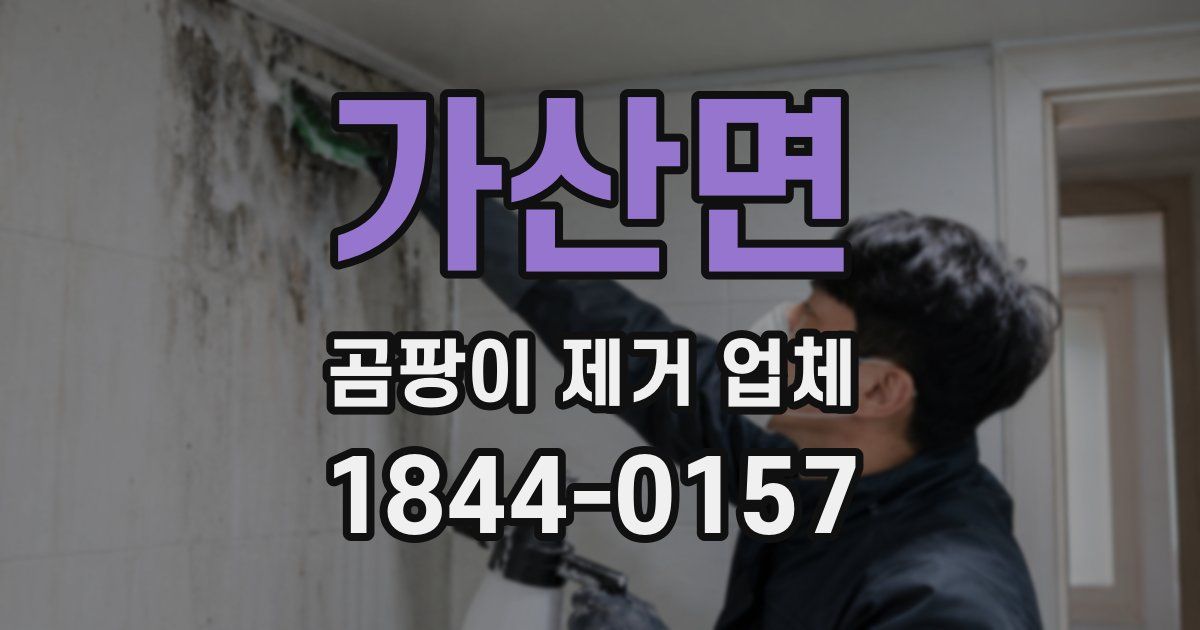 가산면 곰팡이 제거 업체