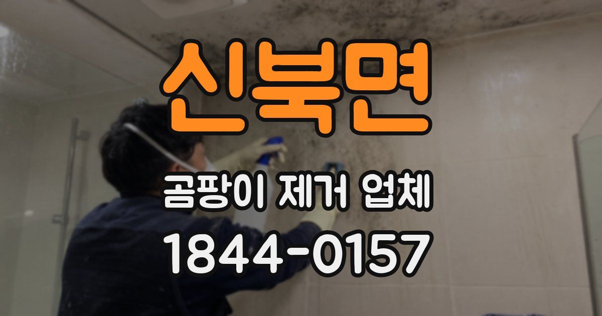 신북면 곰팡이 제거 업체