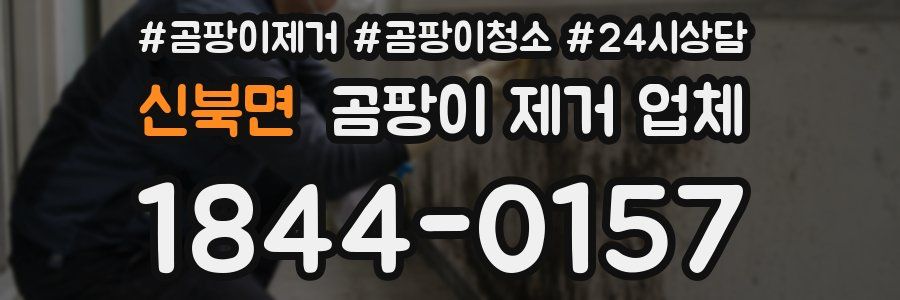 신북면 곰팡이 제거 업체