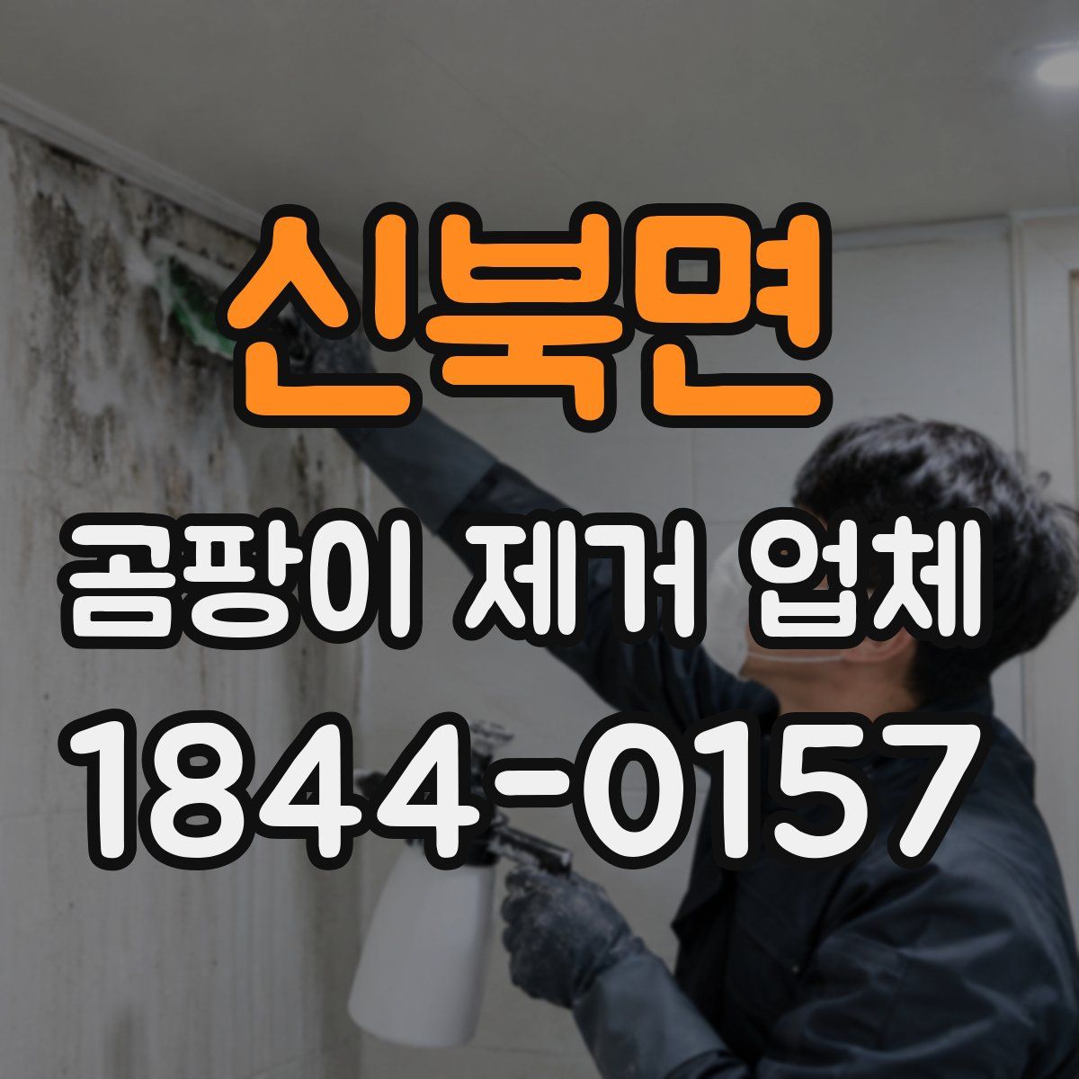 신북면 곰팡이 제거 업체