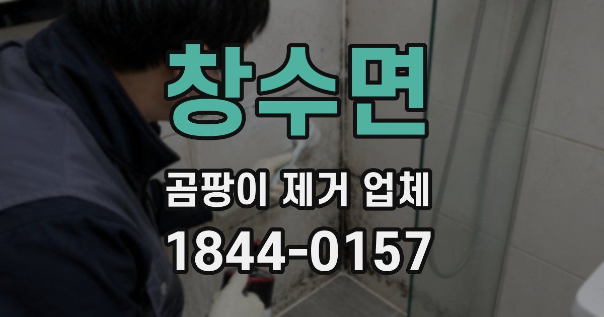 창수면 곰팡이 제거 업체