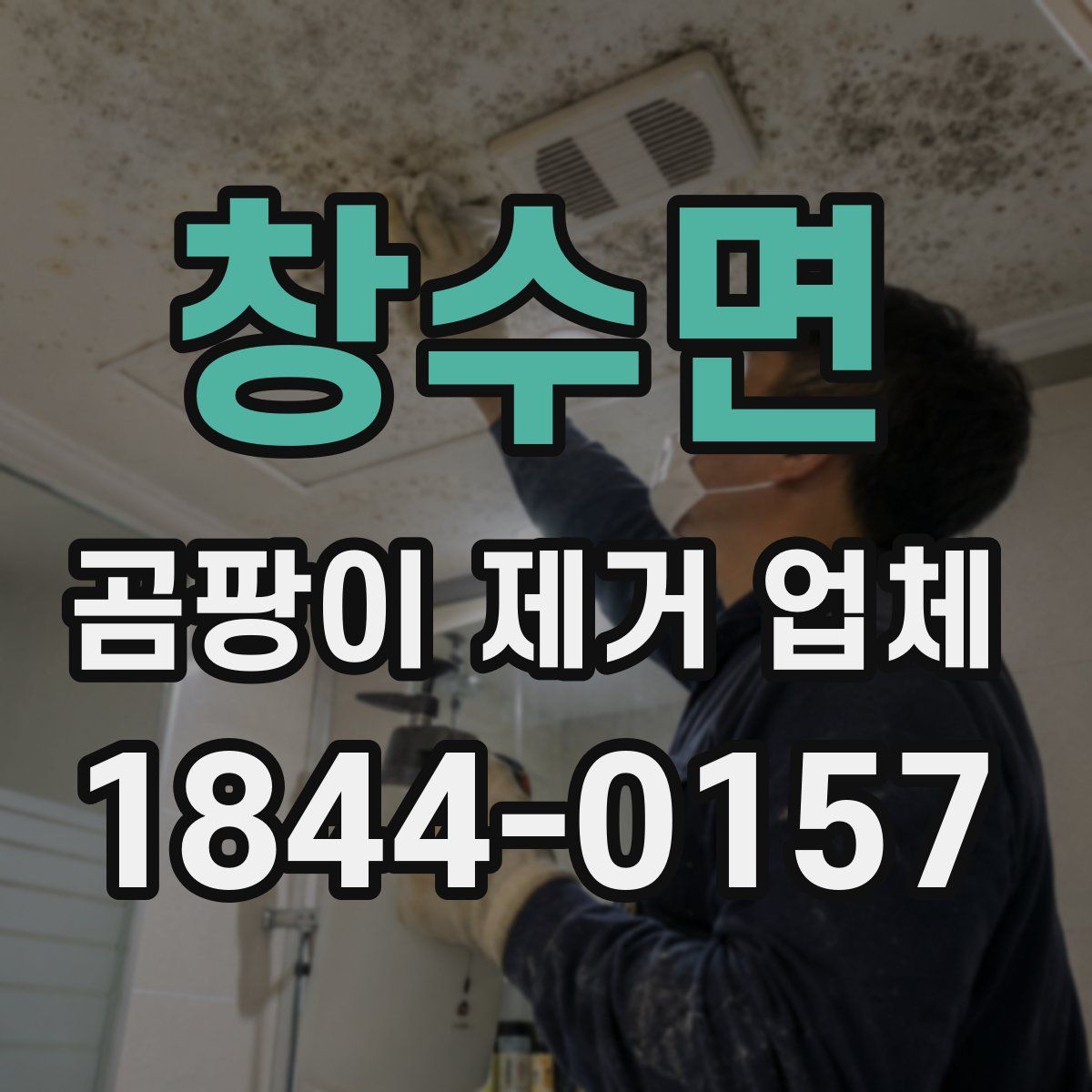 창수면 곰팡이 제거 업체