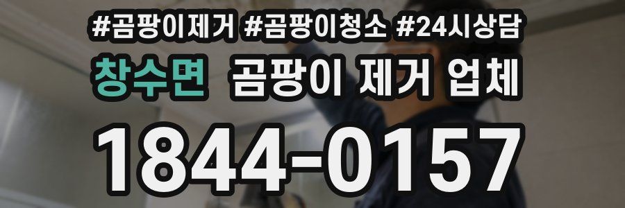 창수면 곰팡이 제거 업체