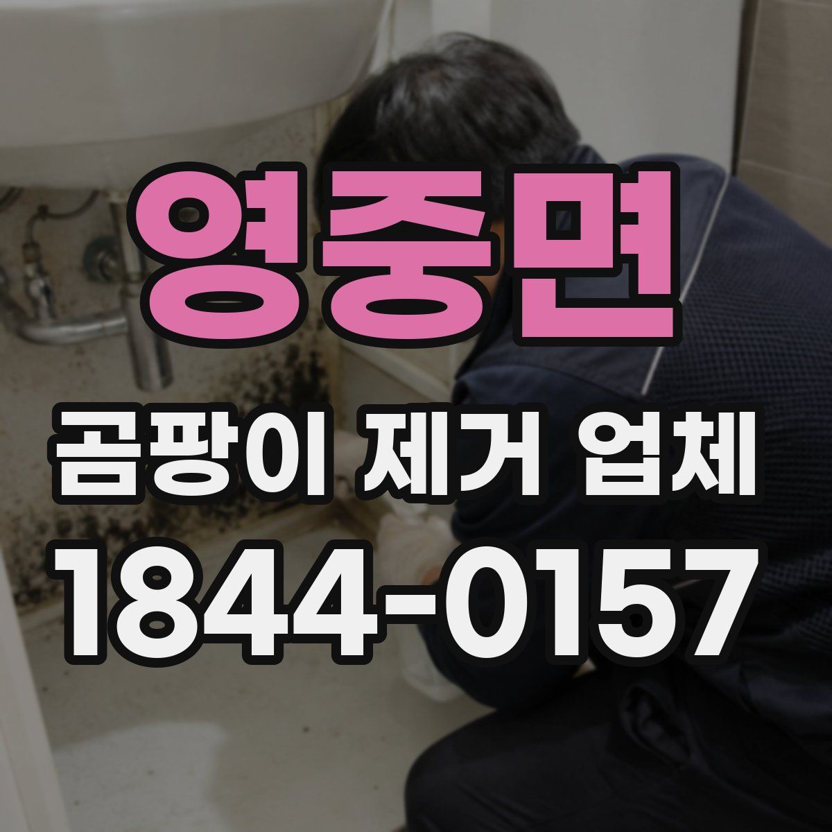 영중면 곰팡이 제거 업체