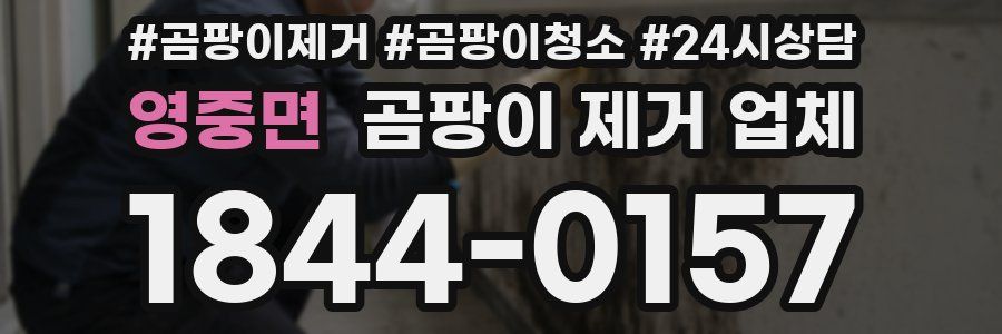 영중면 곰팡이 제거 업체