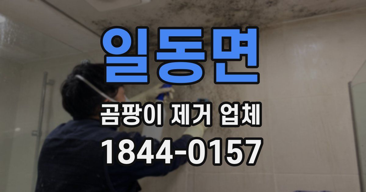 일동면 곰팡이 제거 업체