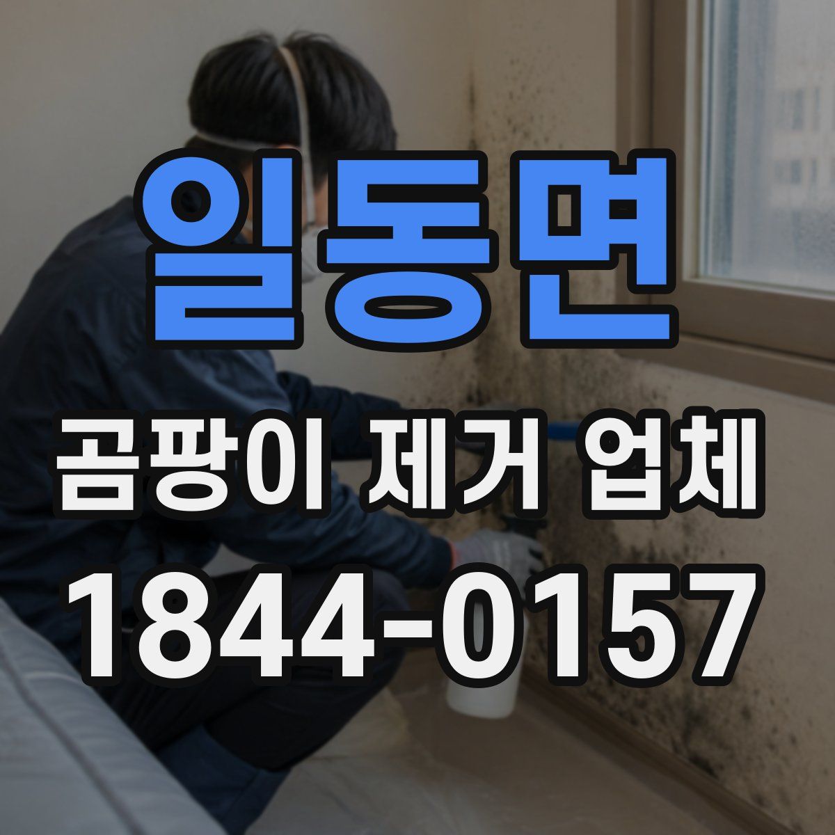 일동면 곰팡이 제거 업체