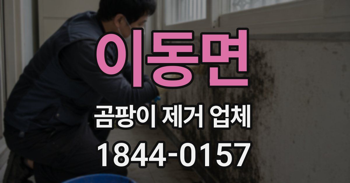 이동면 곰팡이 제거 업체