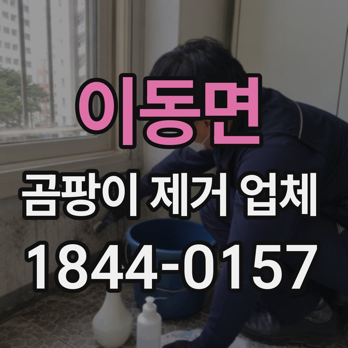 이동면 곰팡이 제거 업체