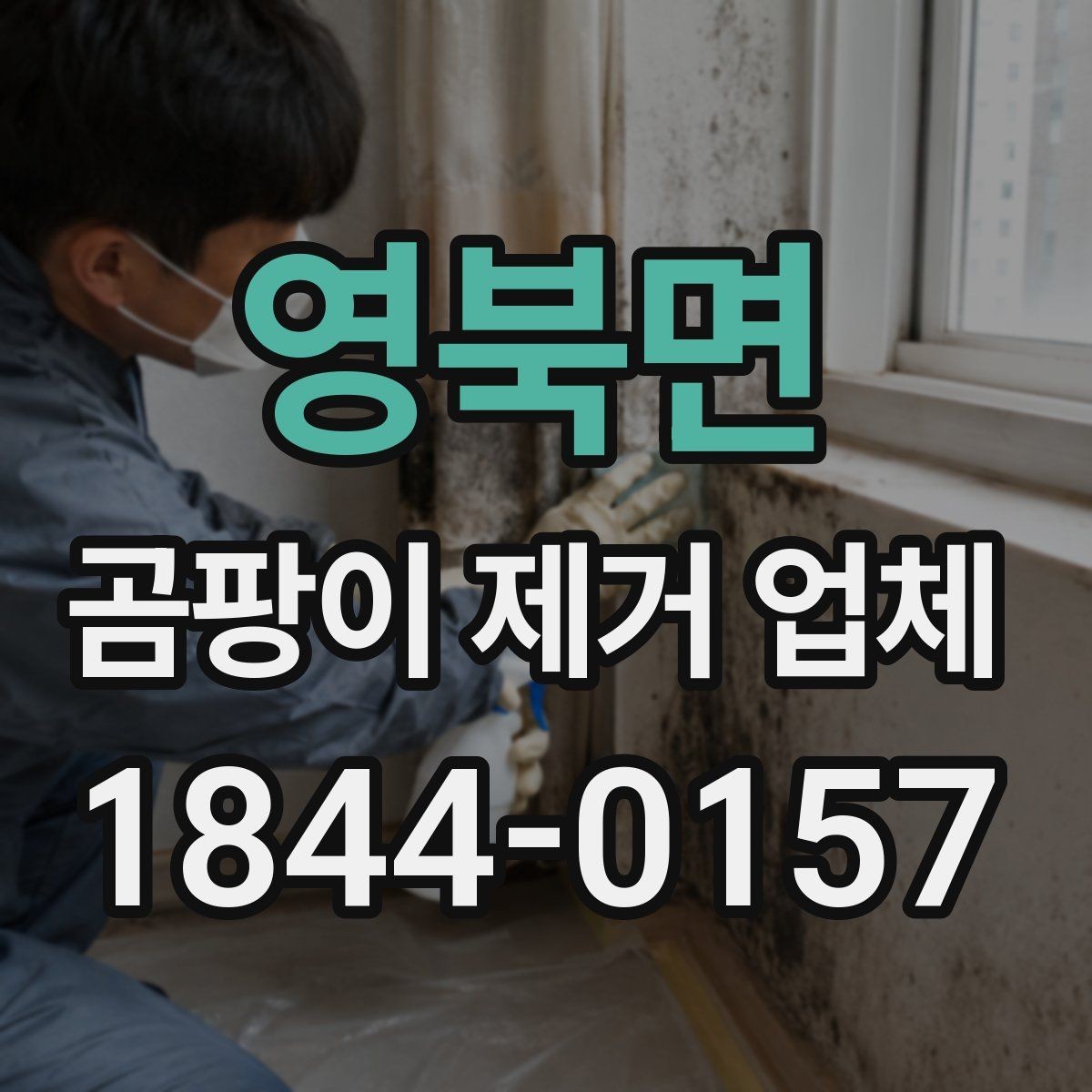 영북면 곰팡이 제거 업체 소규모 오염과 광범위 오염의 작업 차이
