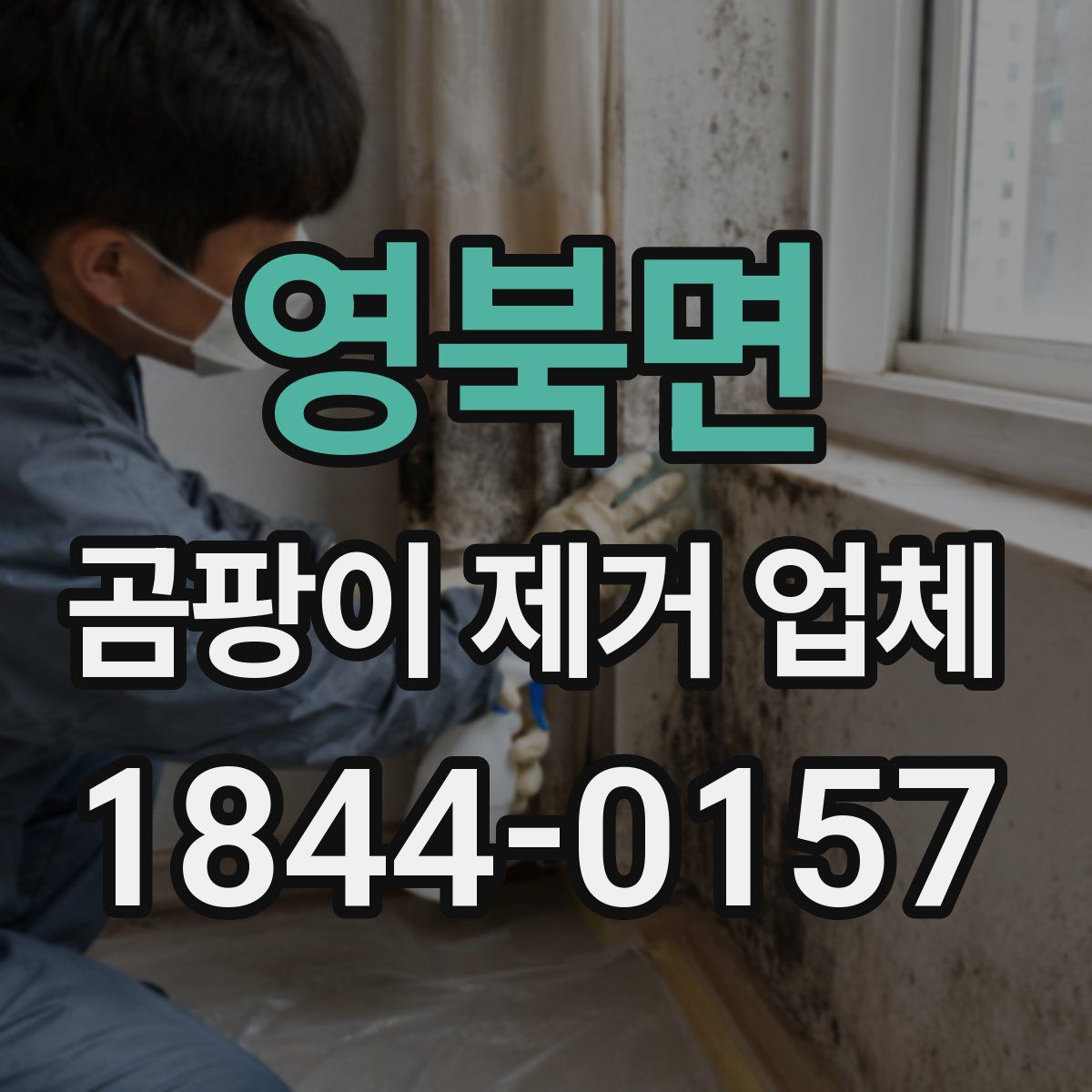 영북면 곰팡이 제거 업체
