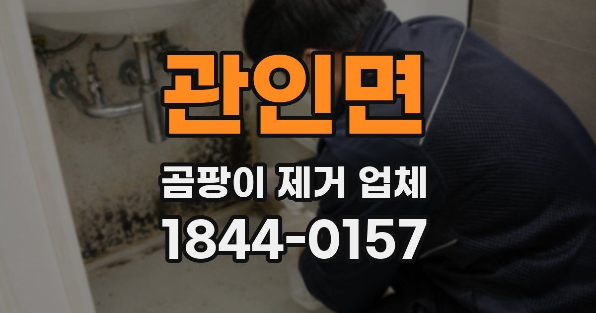 관인면 곰팡이 제거 업체