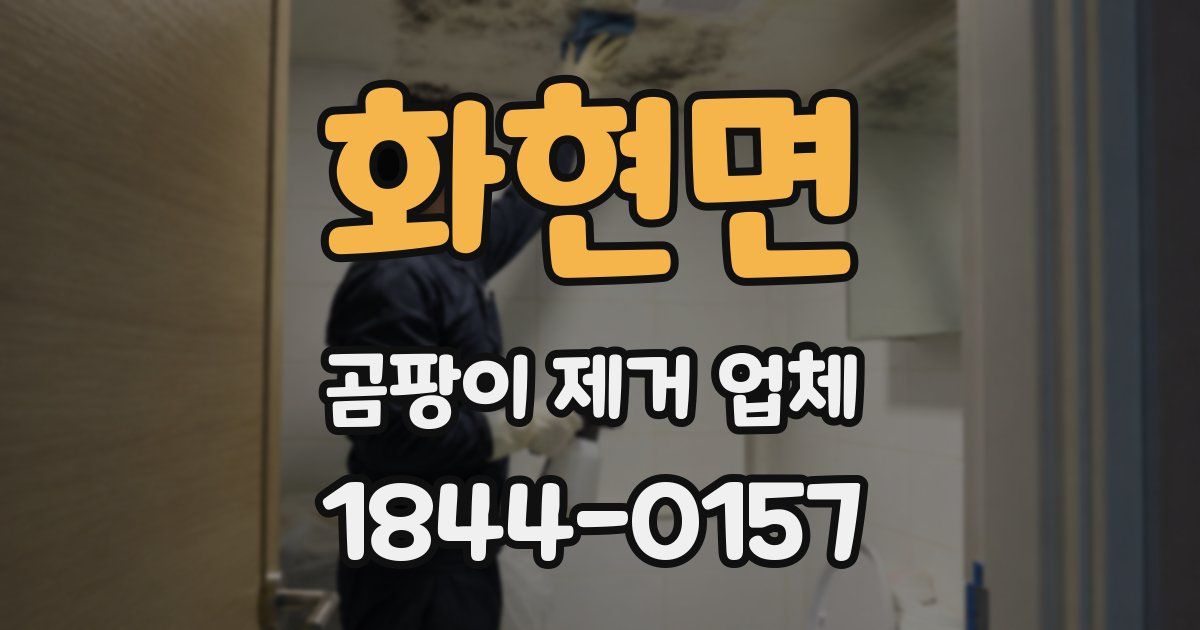 화현면 곰팡이 제거 업체