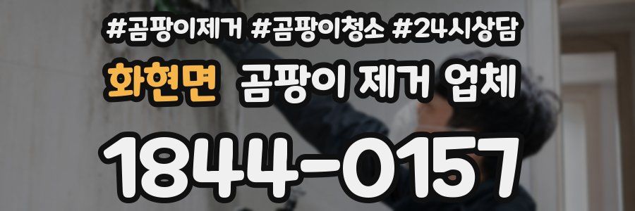 화현면 곰팡이 제거 업체