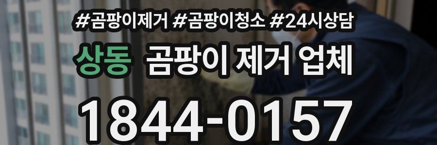 상동 곰팡이 제거 업체