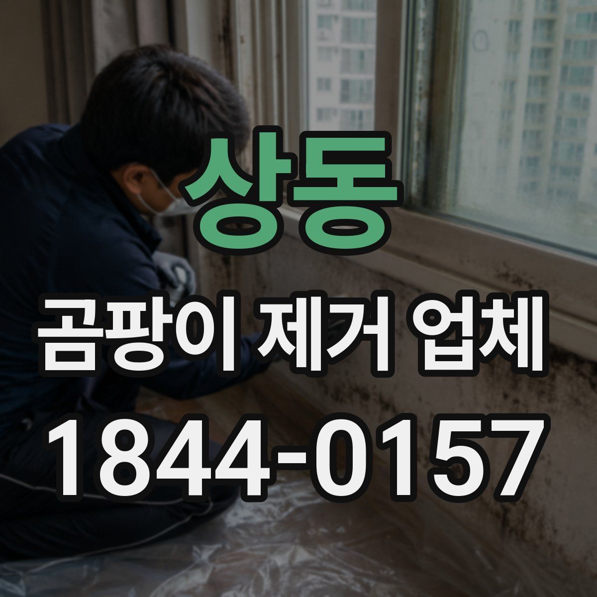 상동 곰팡이 제거 업체