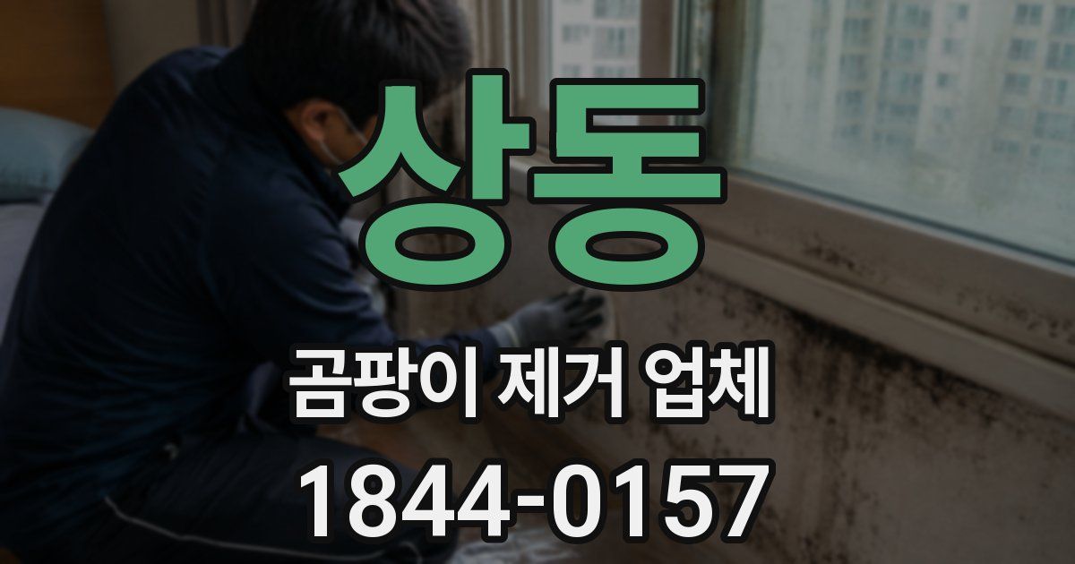 상동 곰팡이 제거 업체