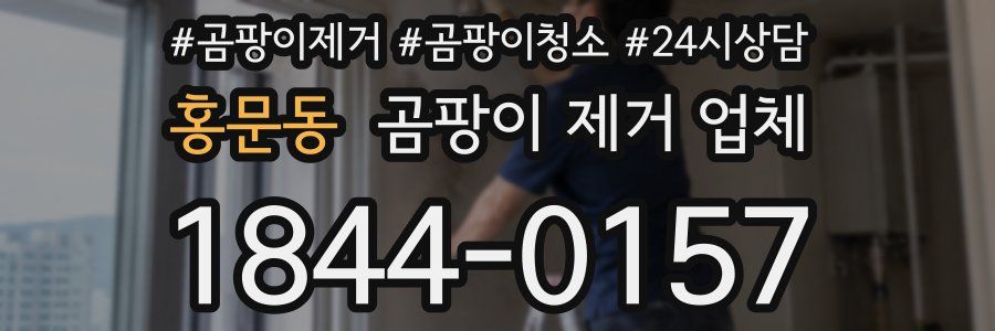 홍문동 곰팡이 제거 업체