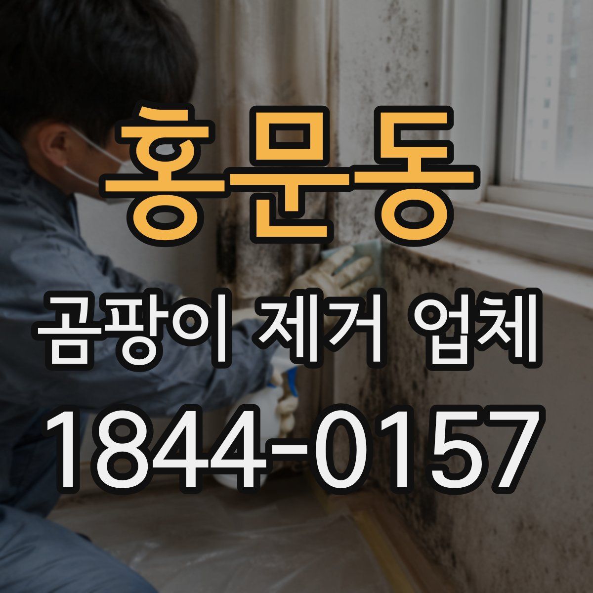 홍문동 곰팡이 제거 업체