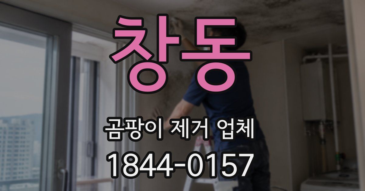창동 곰팡이 제거 업체