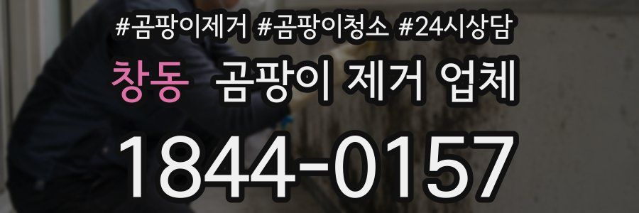 창동 곰팡이 제거 업체