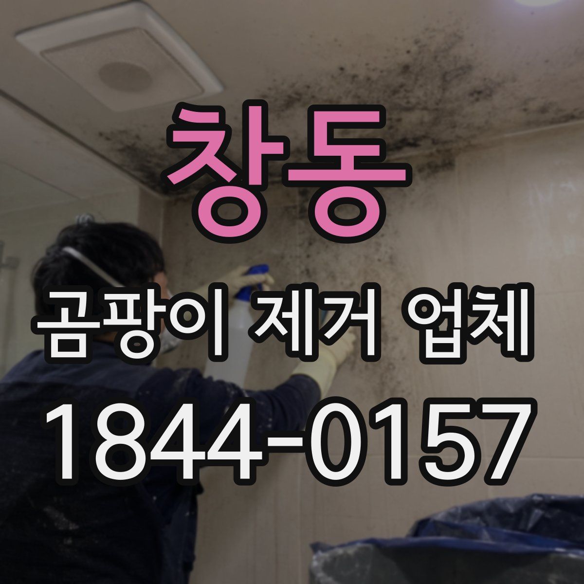 창동 곰팡이 제거 업체