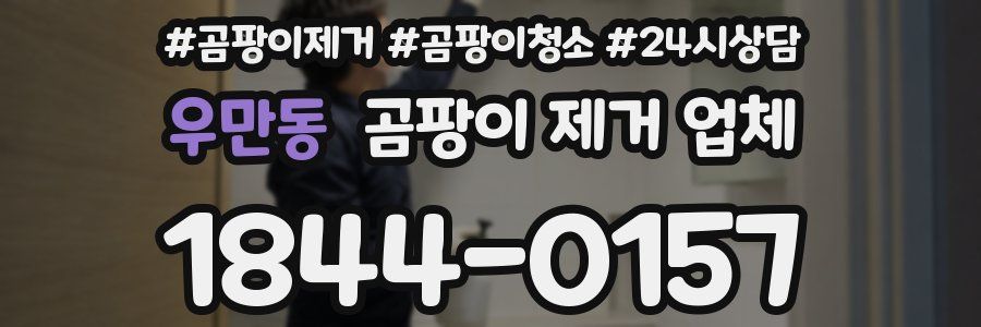우만동 곰팡이 제거 업체