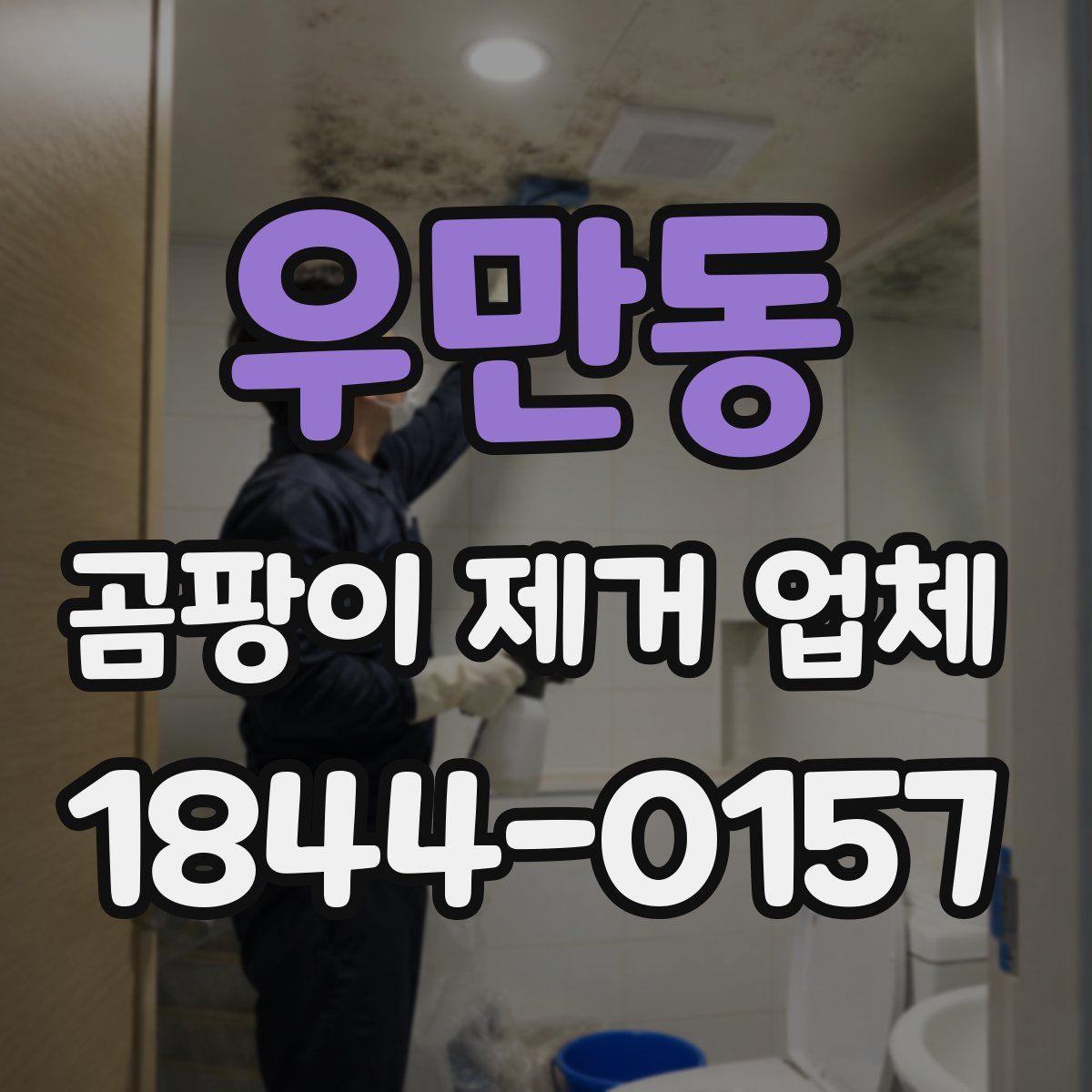 우만동 곰팡이 제거 업체