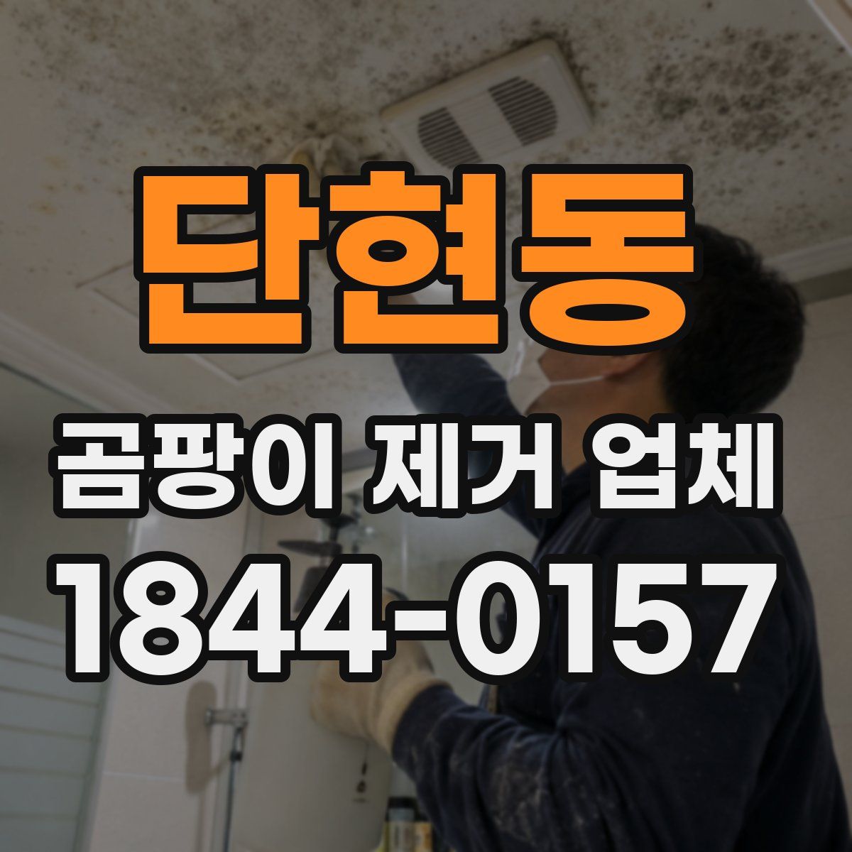 단현동 곰팡이 제거 업체