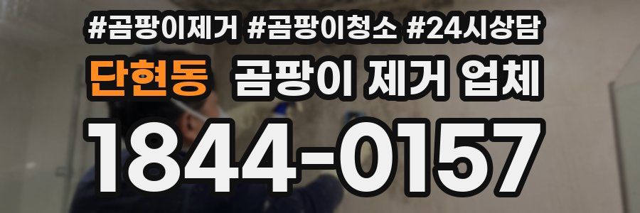 단현동 곰팡이 제거 업체
