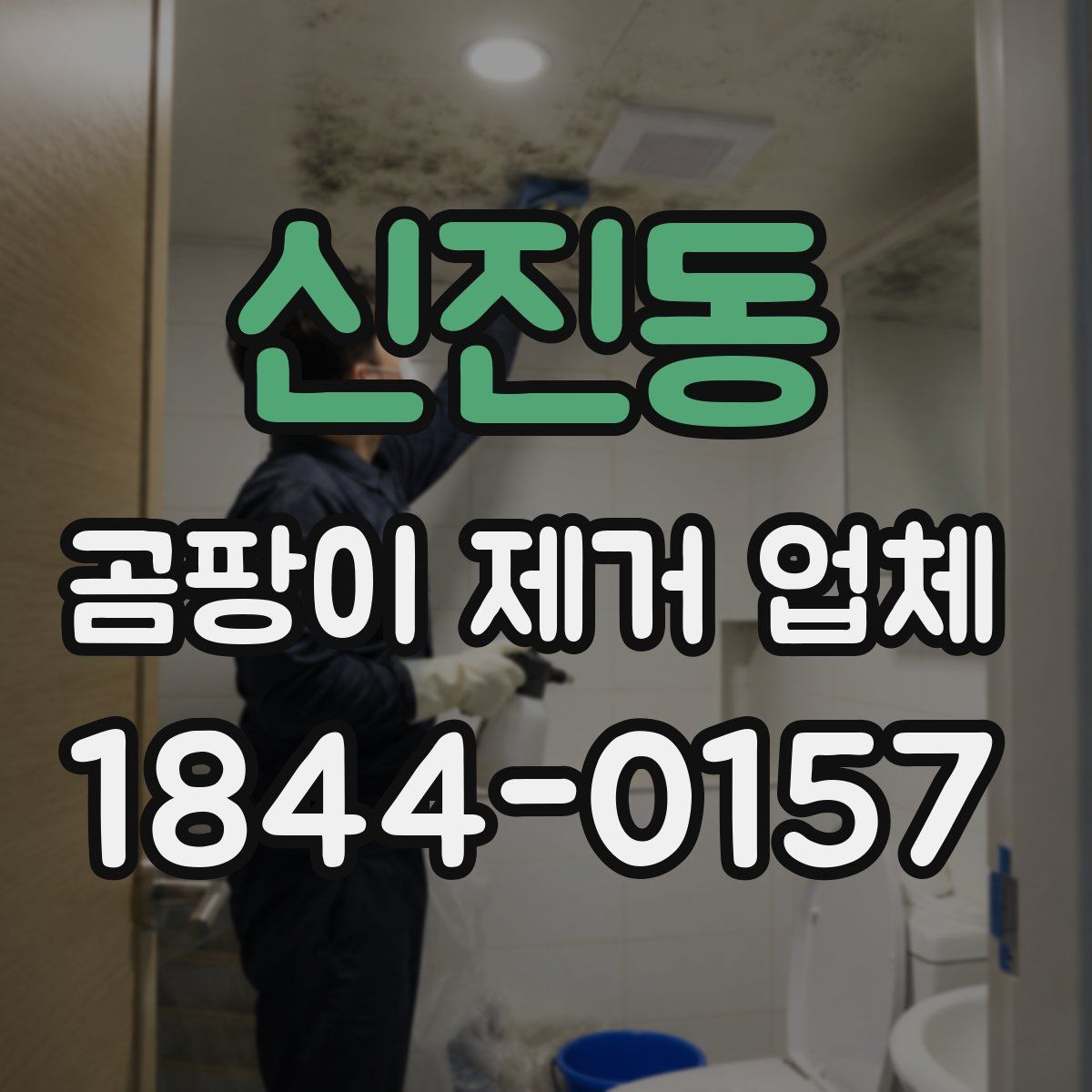 신진동 곰팡이 제거 업체
