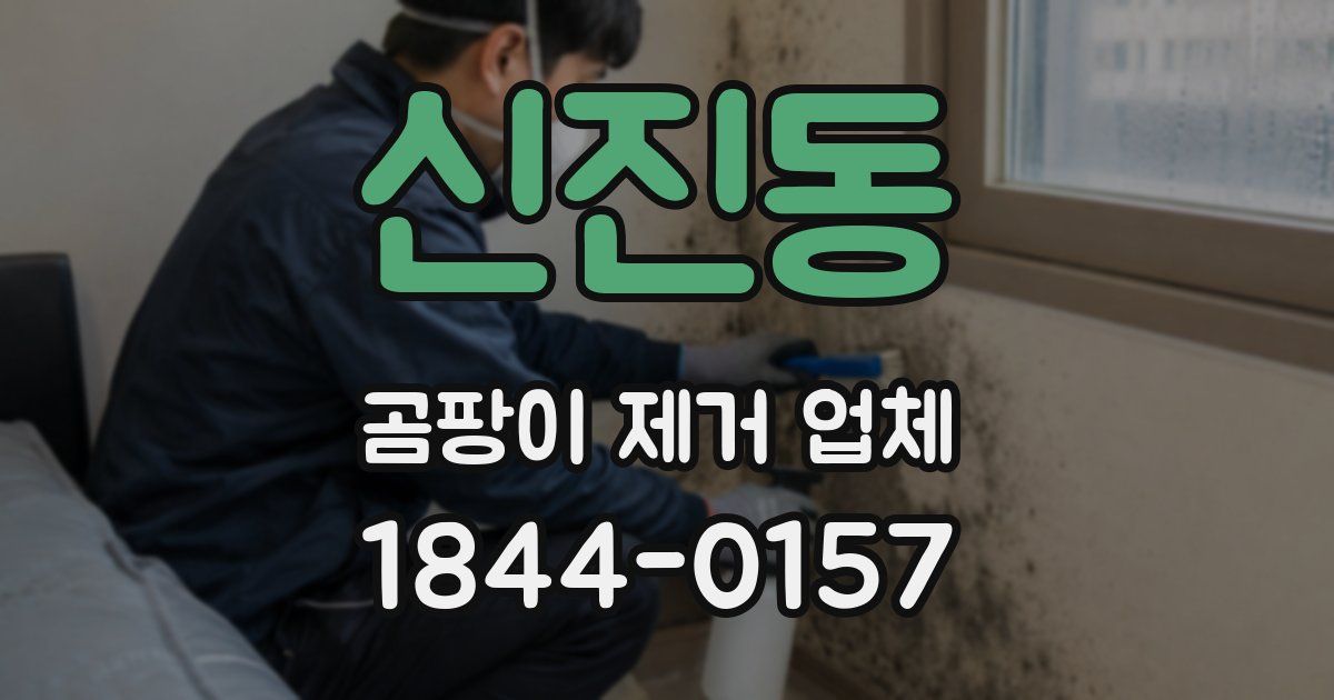 신진동 곰팡이 제거 업체