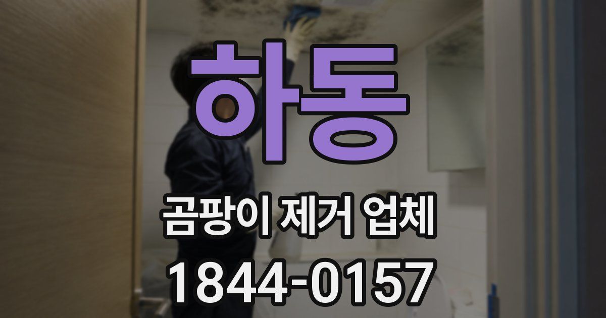 하동 곰팡이 제거 업체
