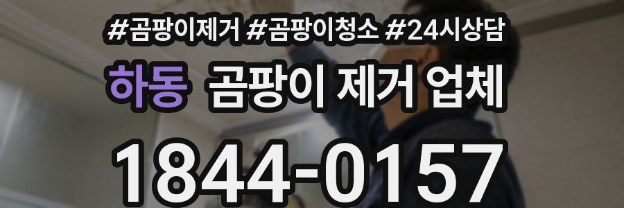 하동 곰팡이 제거 업체