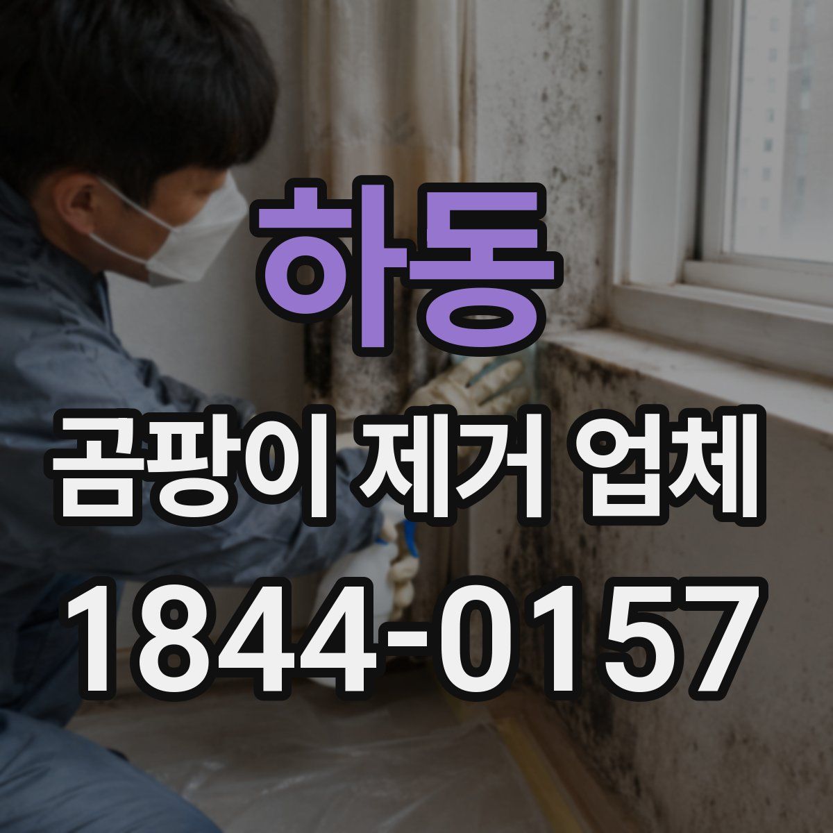 하동 곰팡이 제거 업체