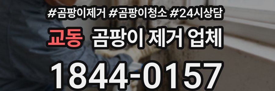교동 곰팡이 제거 업체
