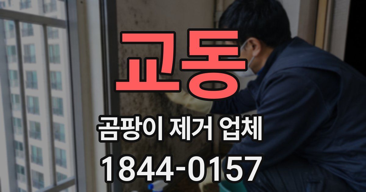교동 곰팡이 제거 업체