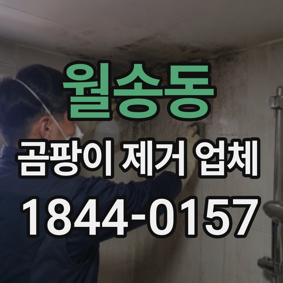 월송동 곰팡이 제거 업체